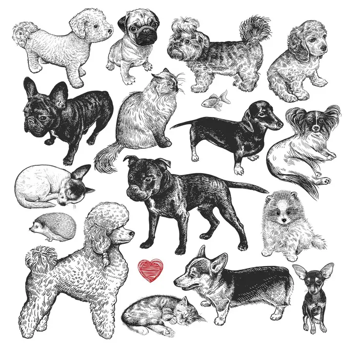Wooden Puzzle in Pouch: Pet Show 250pc