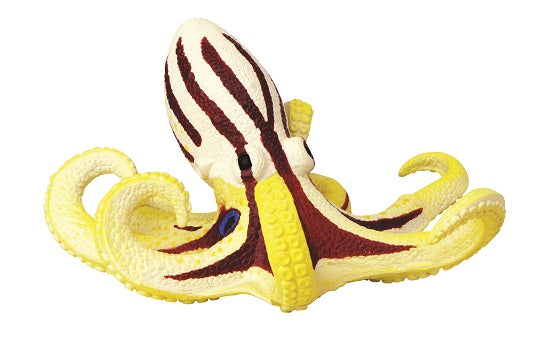 4D Octopus Siamensis Hand-Painted 26pc