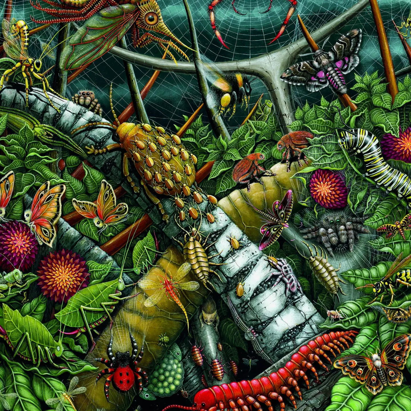 Orb Weavers (Velvet-Touch) 1000pc