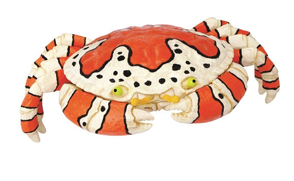 4D Clown Crab Hand-Painted 26pc