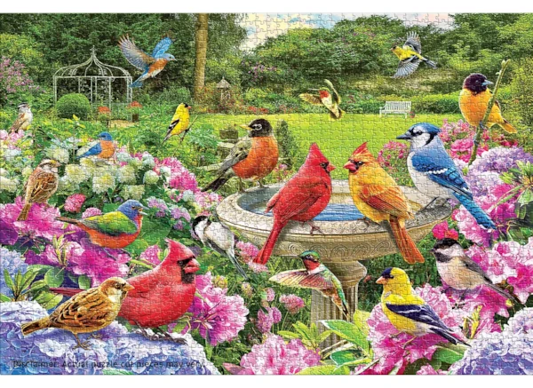 Bird Gathering 2000pc