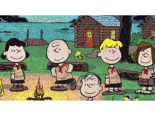 Happy Campers 496pc