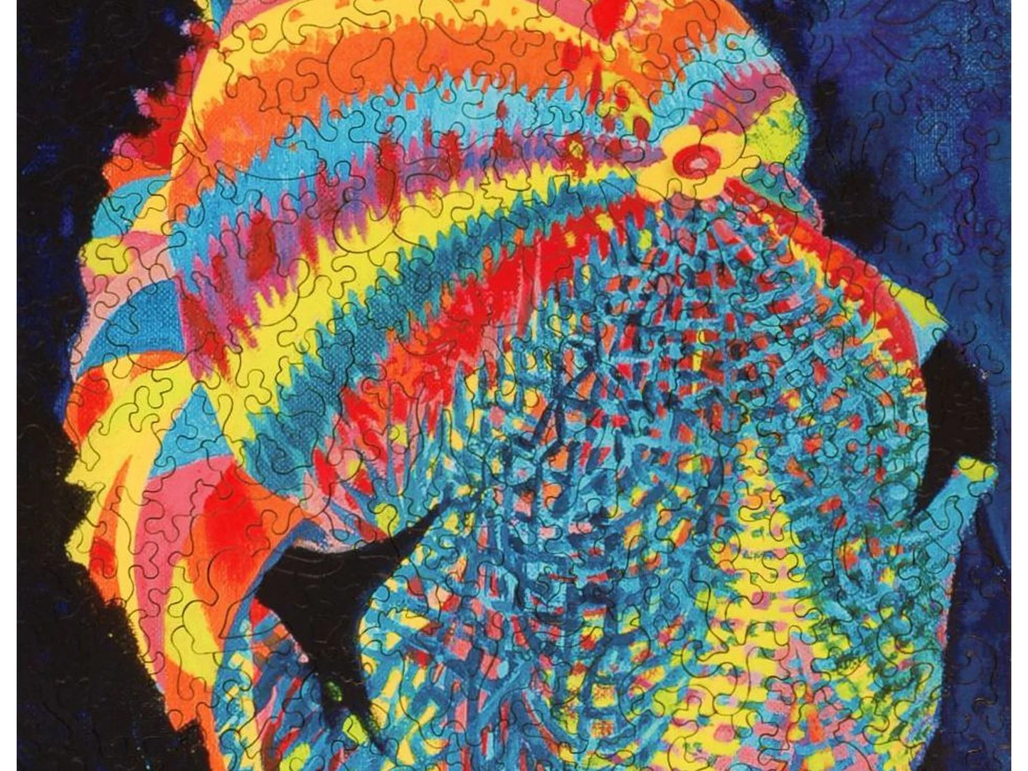 Joseph Katz and His Coat of Many Colors 418pc