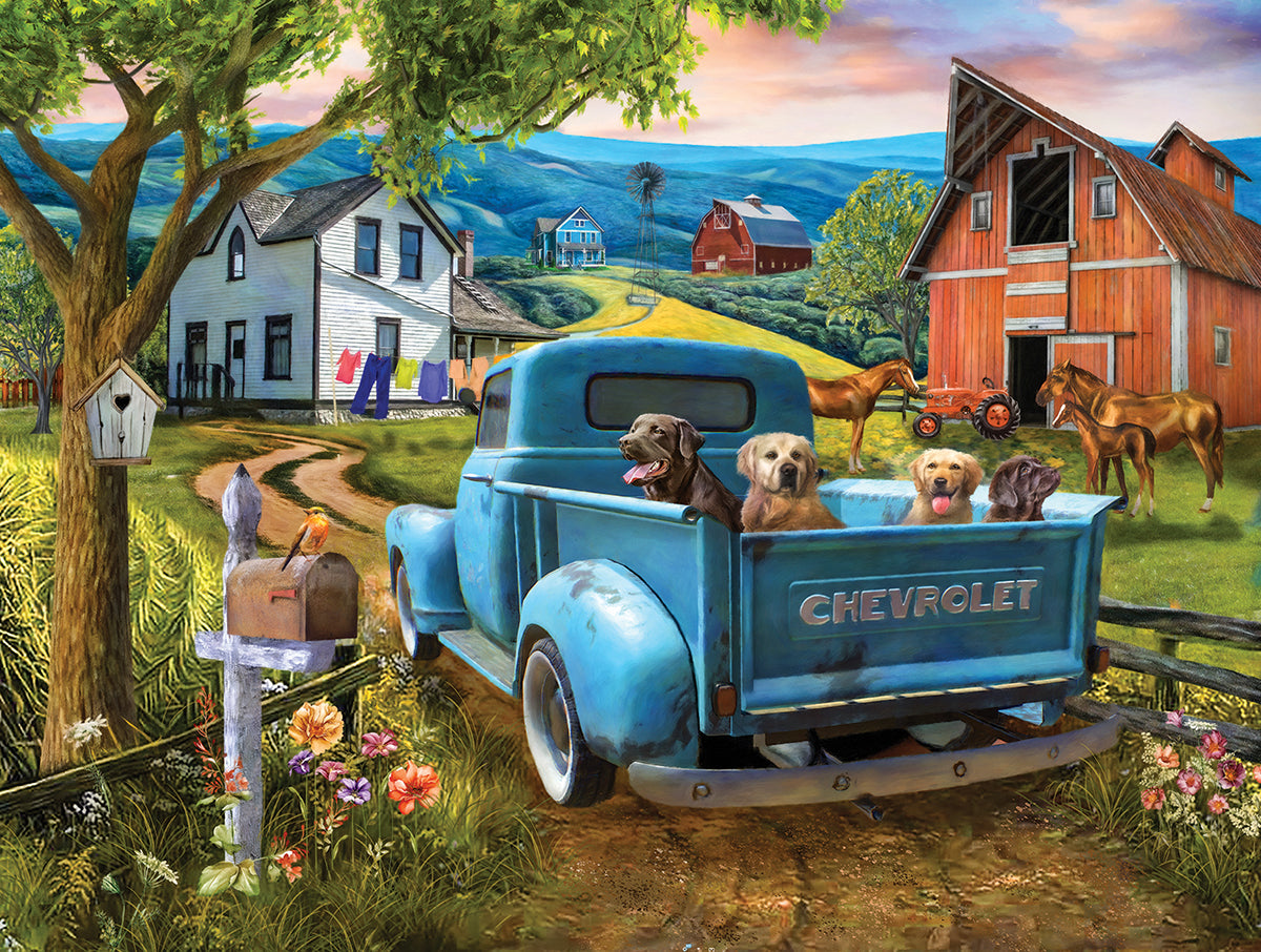 Joy Ride 300pc