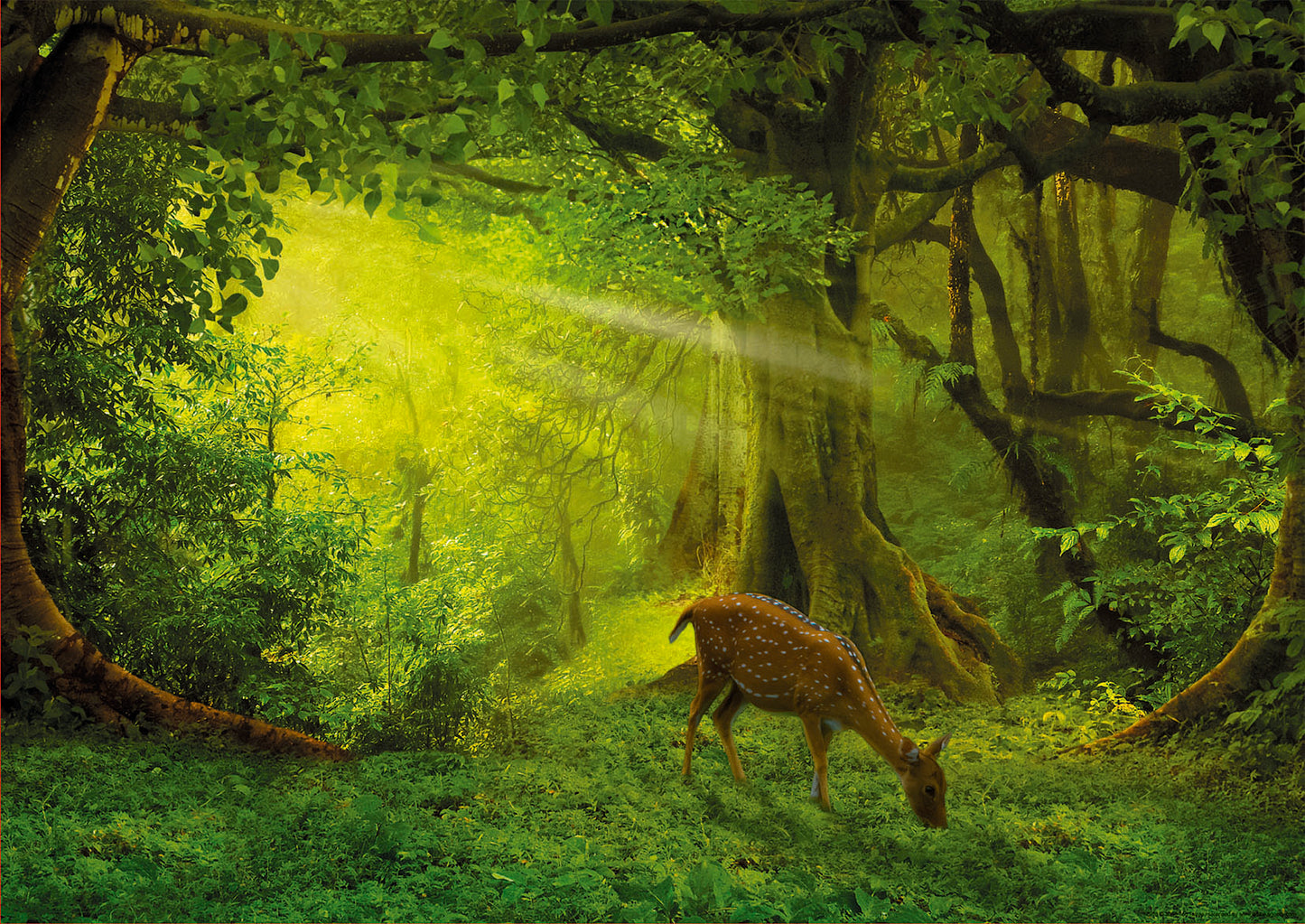 Little Deer 500pc