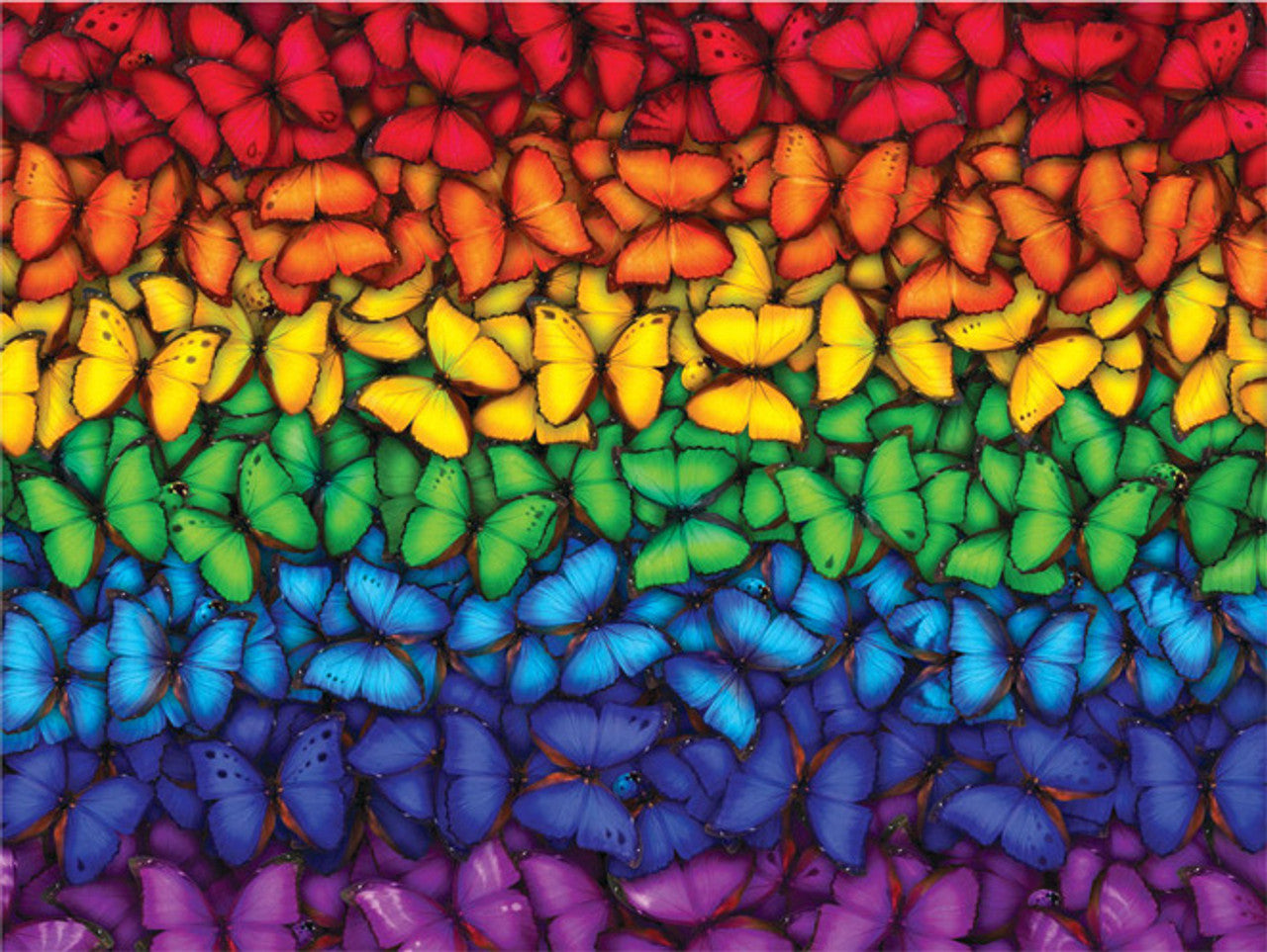 Butterfly Spectrum 500pc