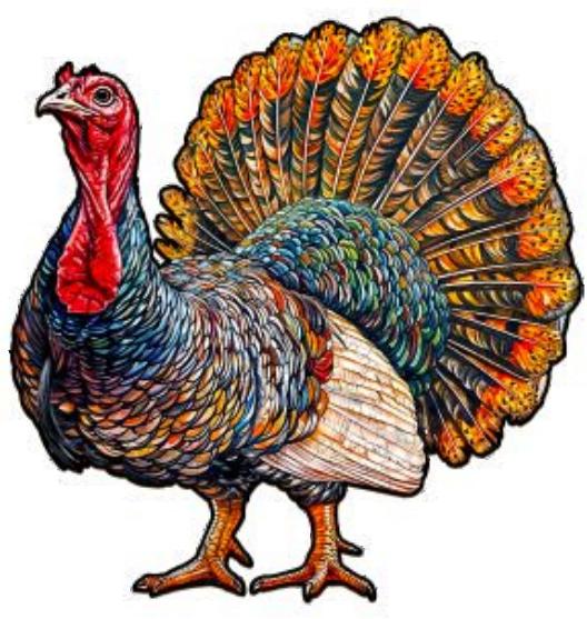 Turkey (S)