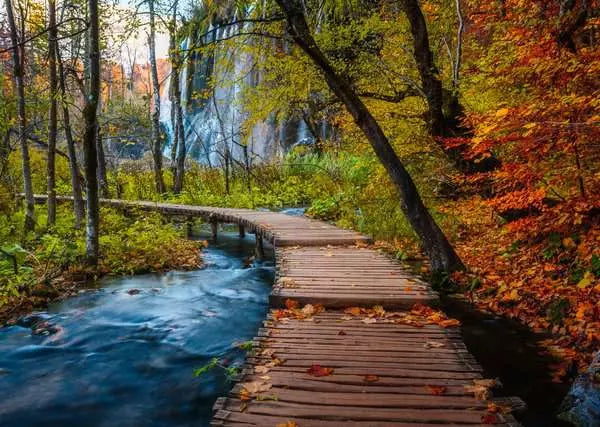 Autumnal Wooden Trail 1000pc