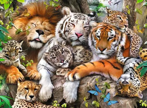 Big Cat Nap 200pc
