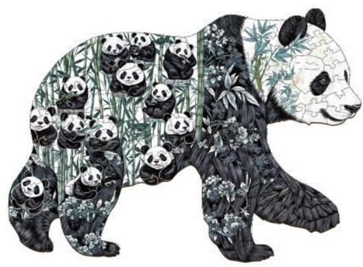 Panda Paradise (S)