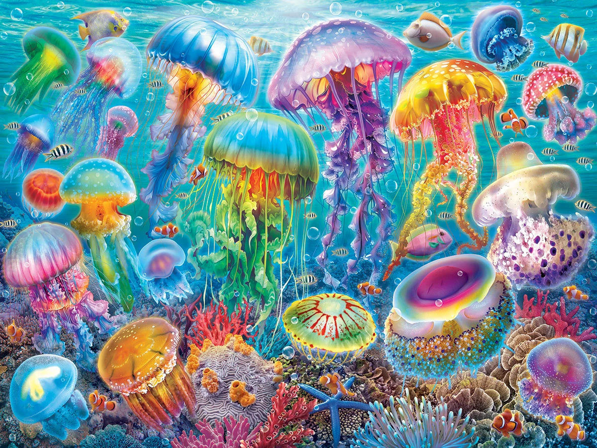 Jellyfish 500pc