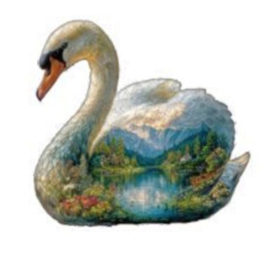 Swan Dream (S)