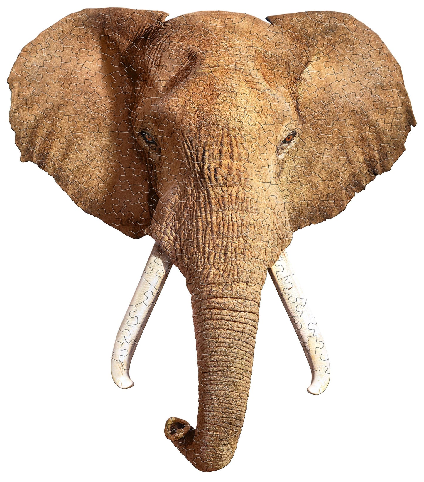 I AM Elephant - Shaped 300pc
