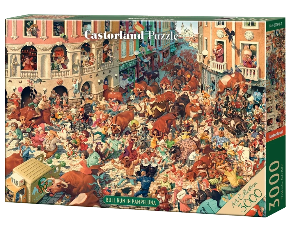 Bull Run in Pampeluna 3000pc