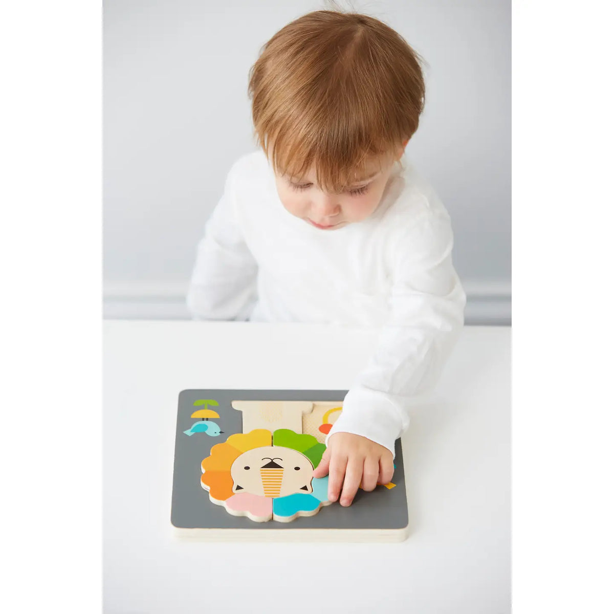 Little Lion Chunky Wood Puzzle 5pc