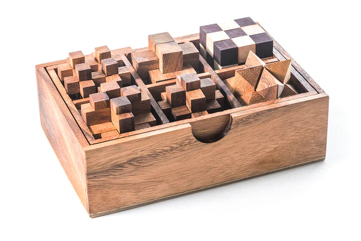 6 Brainteaser Puzzle Gift Set