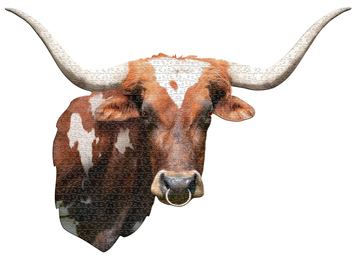 I AM Longhorn - Shaped 550pc