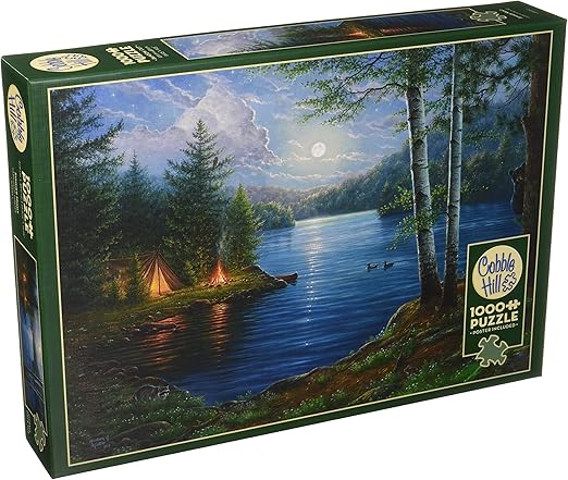 Summer Night 1000pc