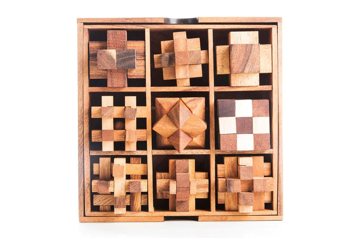 9 Brainteaser Puzzle Gift Set