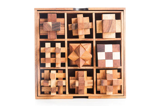 9 Brainteaser Puzzle Gift Set