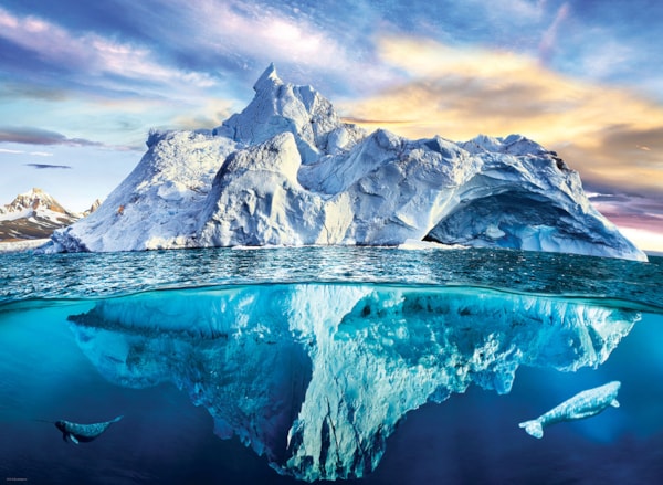 Arctic 1000pc
