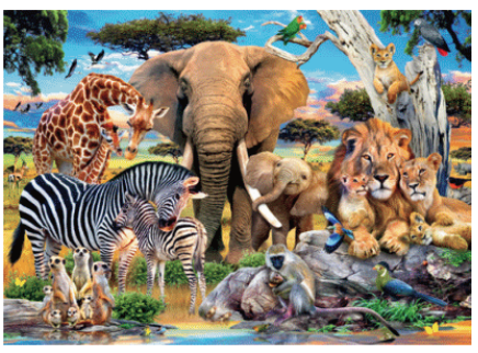 Baby Love 500pc