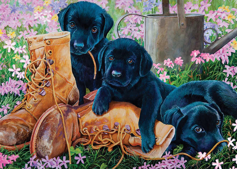 Black Lab Puppies (Tray) 35pc