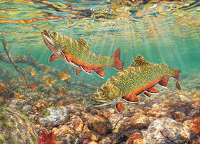 Brook Trout 1000pc