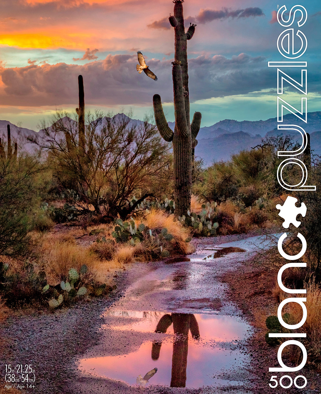 Cactus Reflection, Arizona 500pc