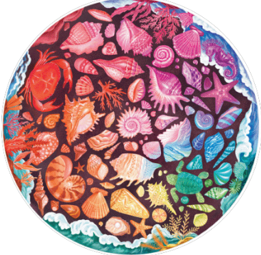 Circle of Colors: Seashells 500pc