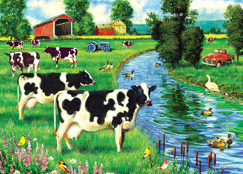 Cow Stream (Tray) 35pc