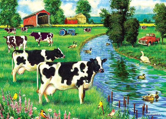 Cow Stream (Tray) 35pc