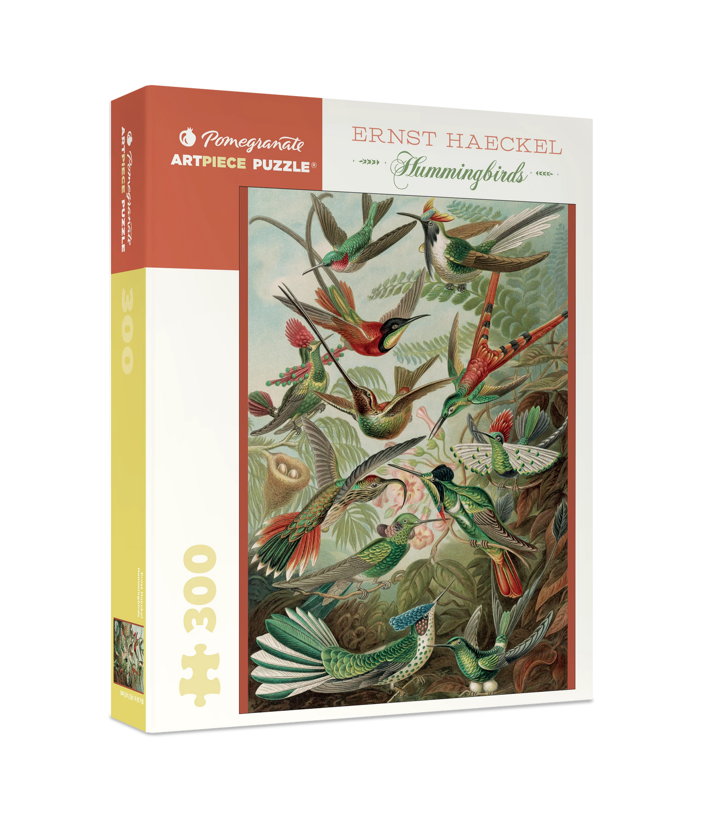 Ernst Haeckel: Hummingbirds 300pc