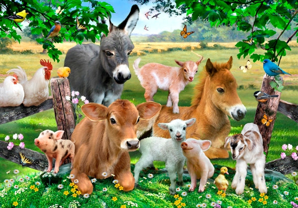 Farm Kindergarden S
