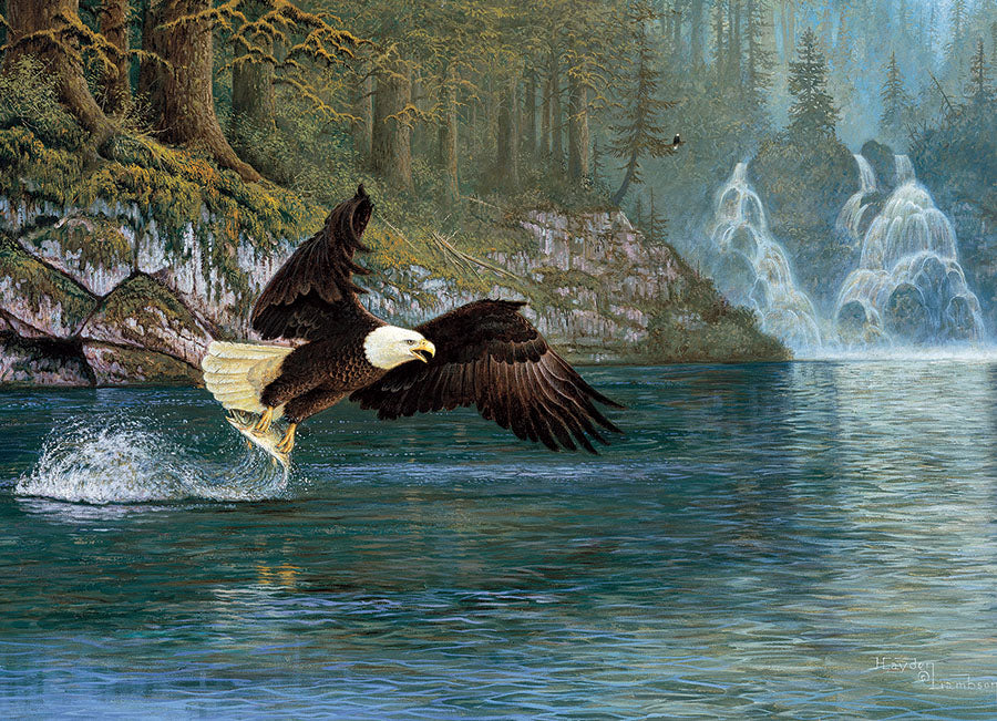 Fly Fishing 1000pc