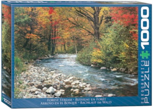 Forest Stream 1000pc