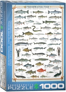 Freshwater Fish 1000pc