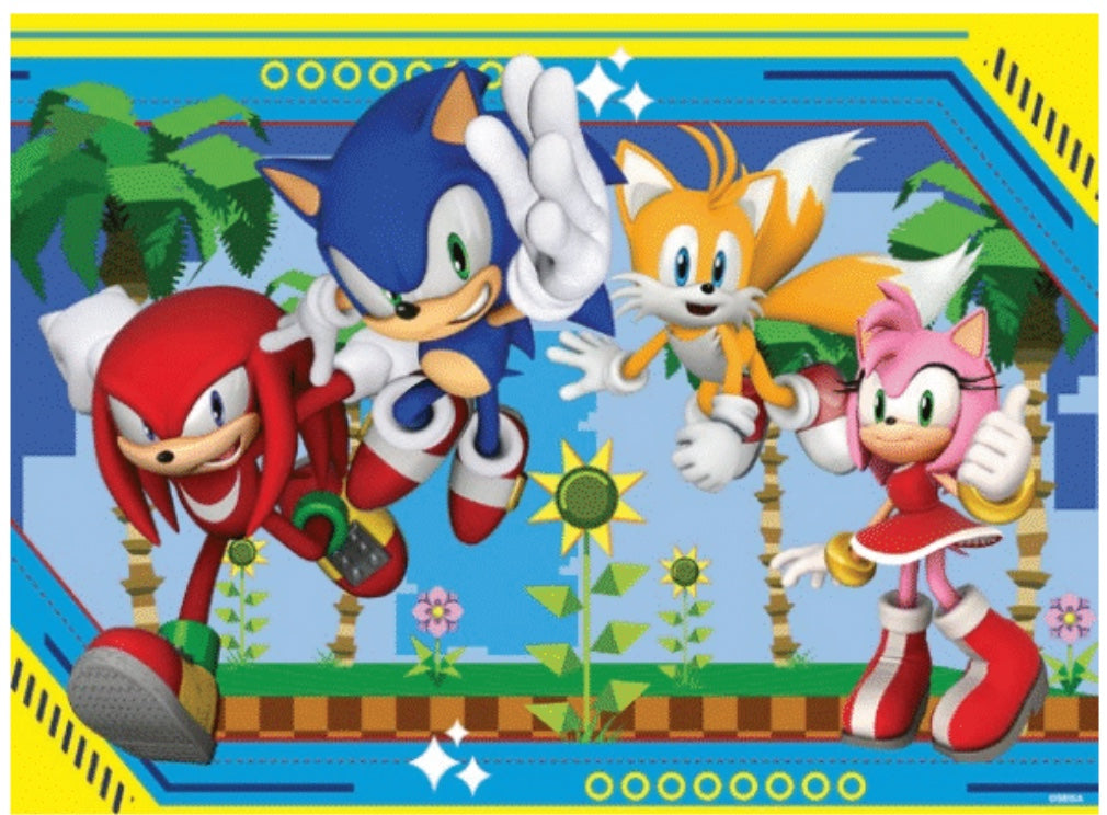 Sonic the Hedgehog 100pc