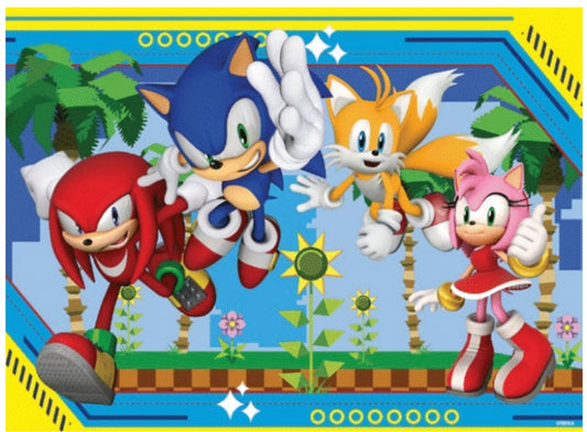 Sonic the Hedgehog 100pc