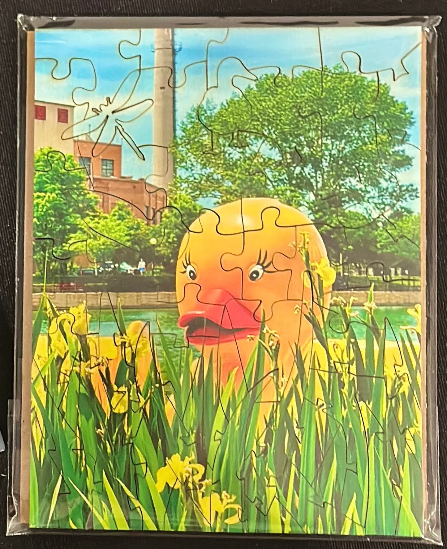 Riverwalk Pedal Duck 50pc