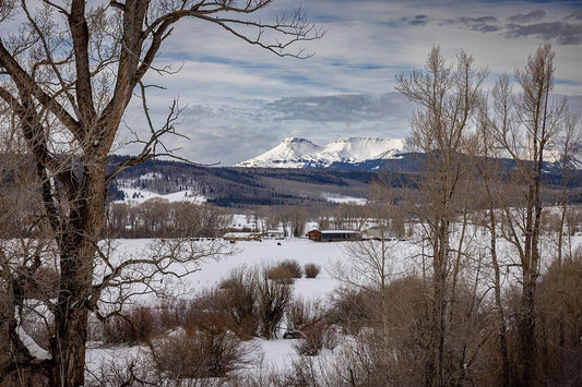 Bear River Road 288pc