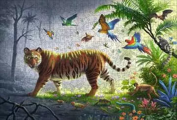 Jungle Tiger 500pc