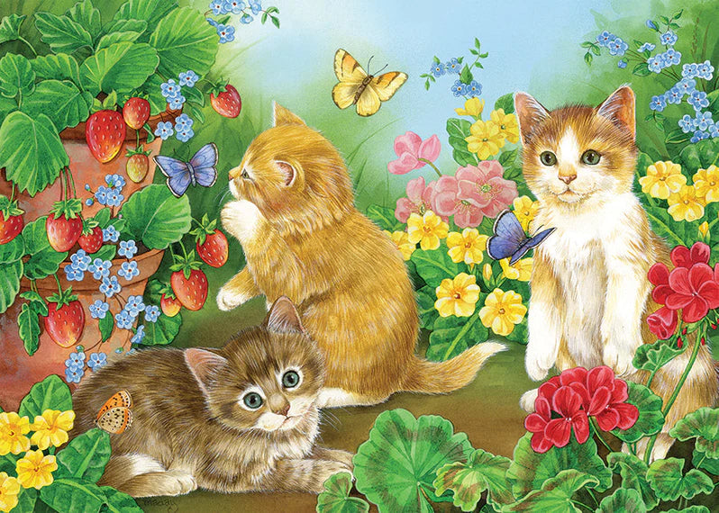 Kitten Playtime (Tray) 35pc