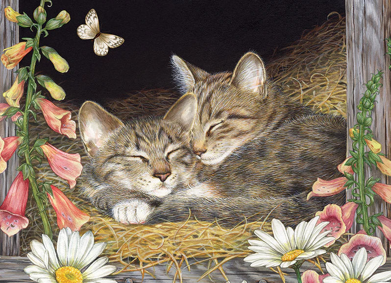 Morning Snooze 35pc (Tray) 35pc
