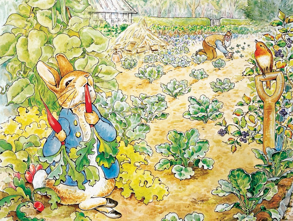 Peter Rabbit's Garden Snack 500pc