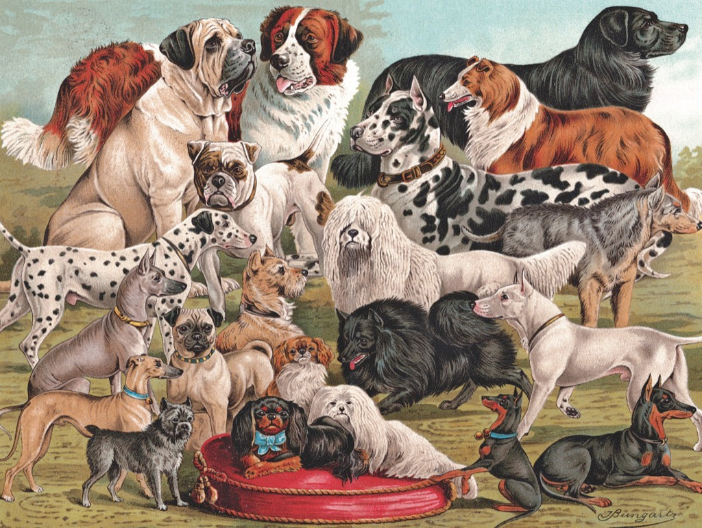 Dog Breeds 1000pc