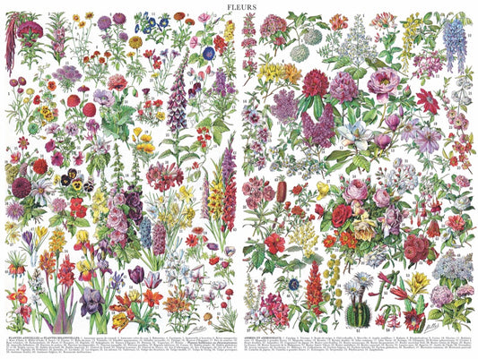 Flowers~ Fleurs 1000pc