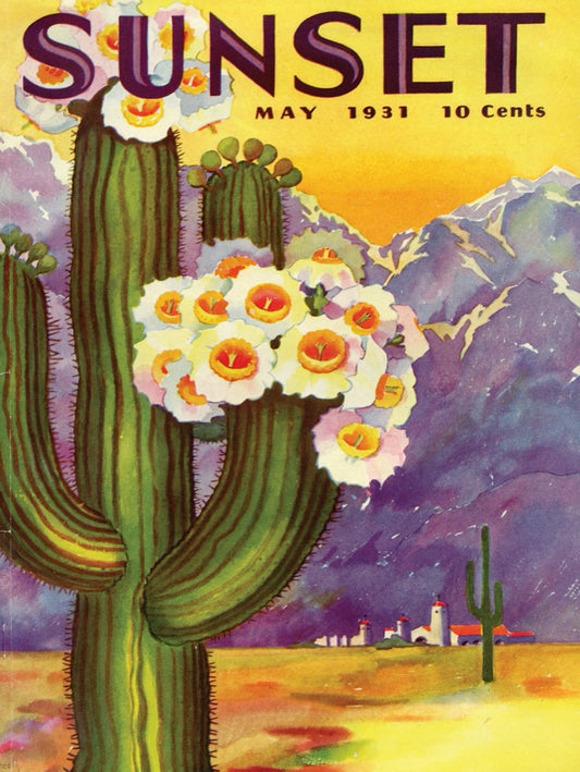 Cactus Blooms 500pc