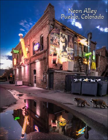 Neon Alley Visitors by Ted Shafer 63pc