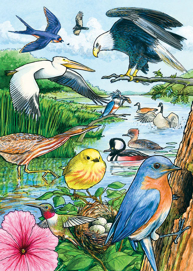 North American Birds (Tray) 35pc
